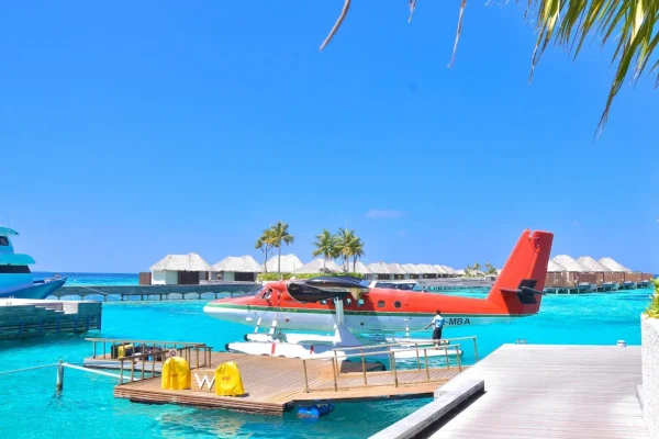 cruises image 12